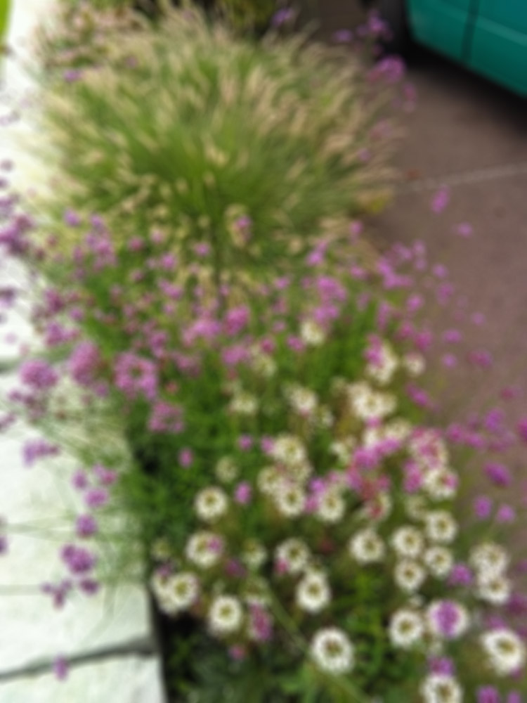 Gartenpflege Basel Blumenbeet